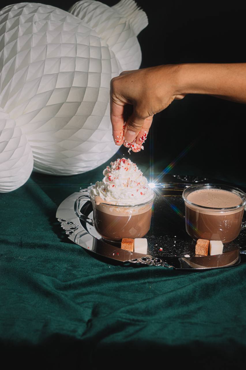 Hot Cocoa Mixer Kit