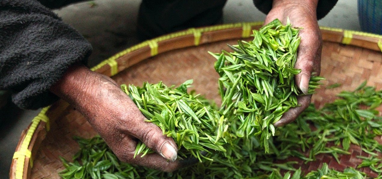 Have Tea, Will Travel - Teaspressa