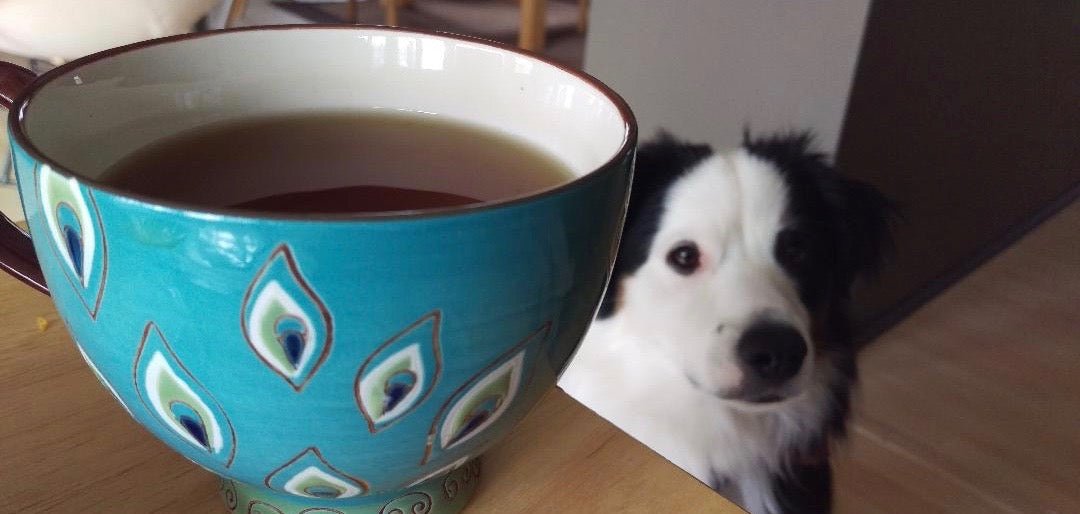 Tea Time with Nichole: There's a Tea for Everyone - Teaspressa