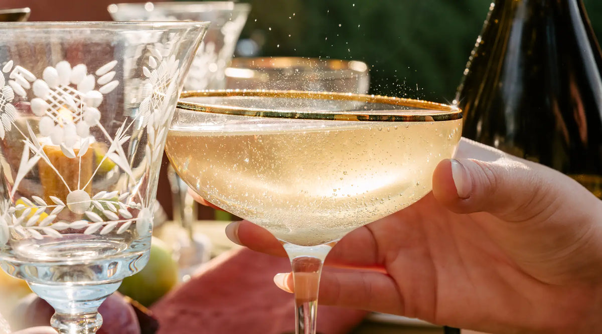 A gold-rimmed coupe glass filled with a sparkling botanical cocktail, held during an elegant outdoor Damp January social gathering