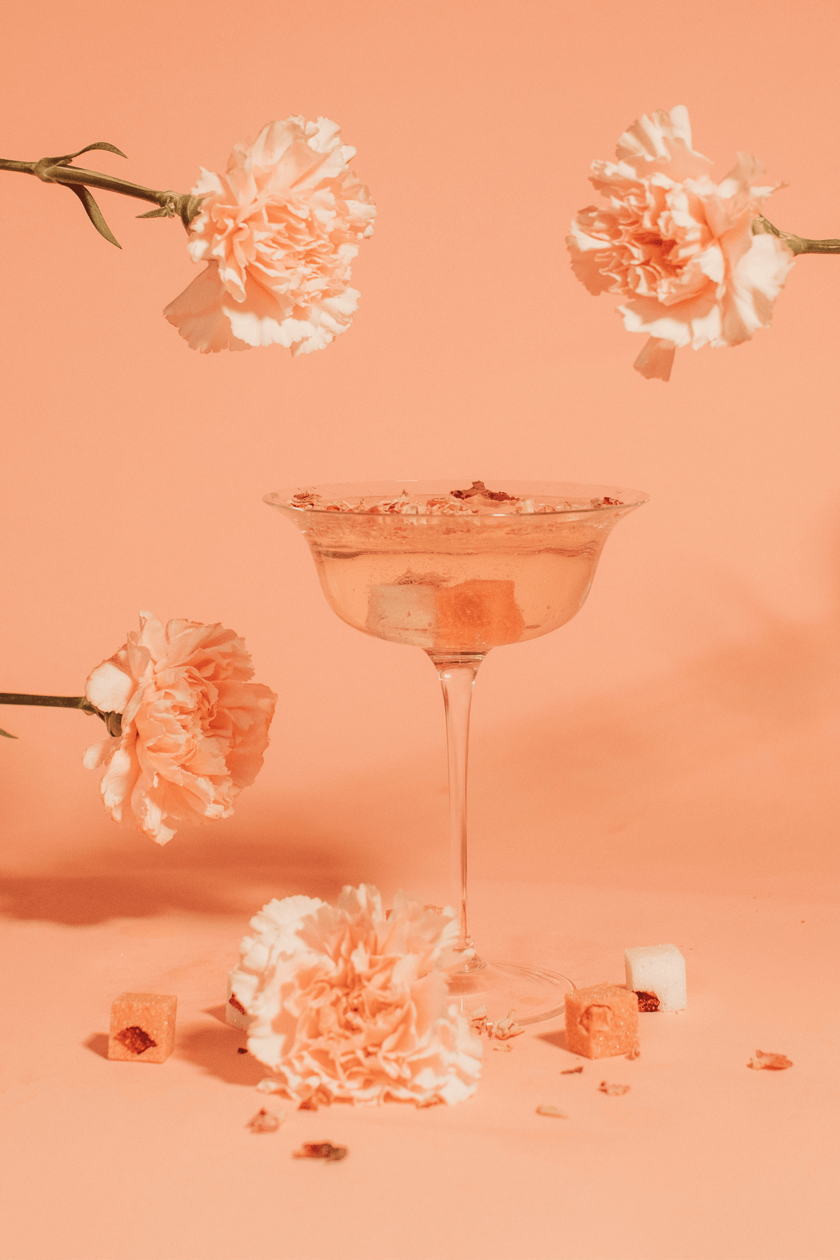 ROSE | BARISTA CUBE