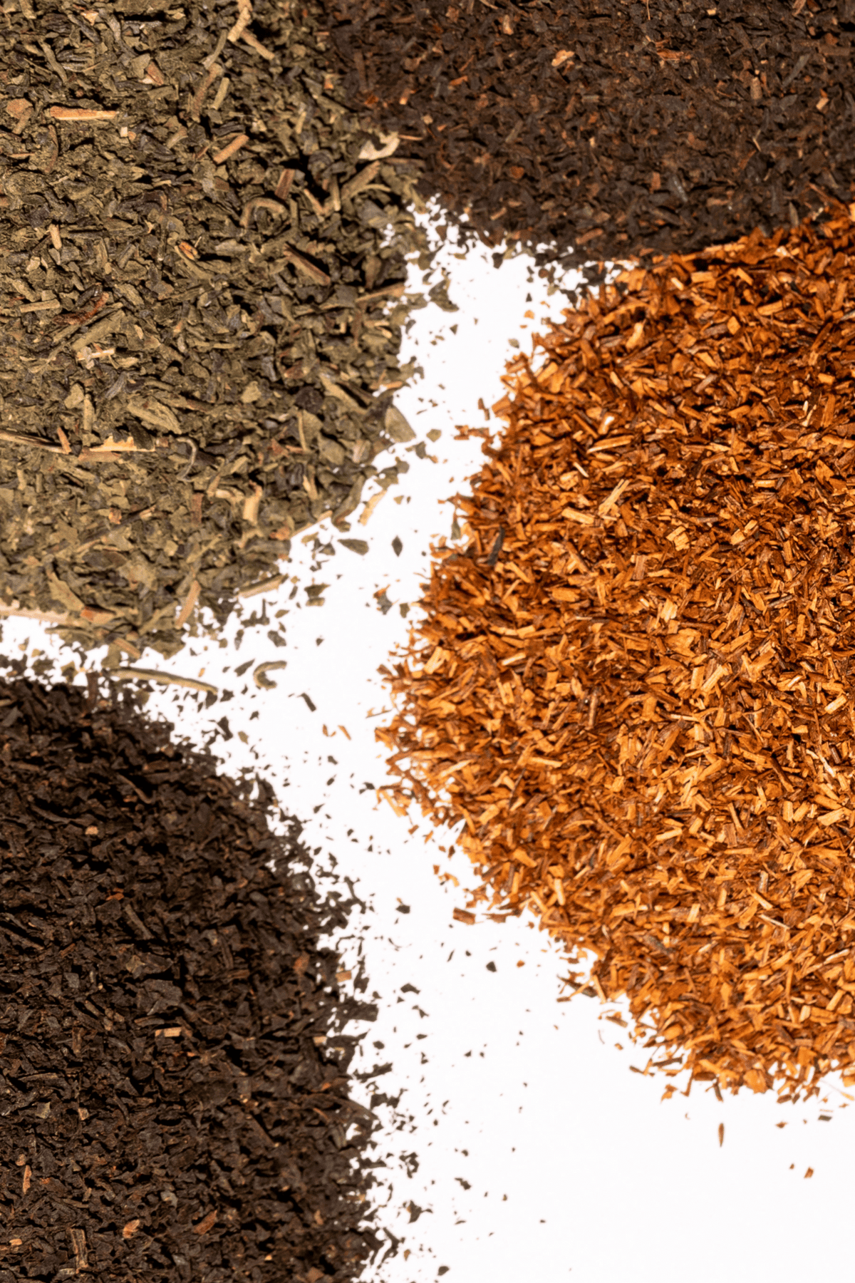 Tea Taster Gift Kit