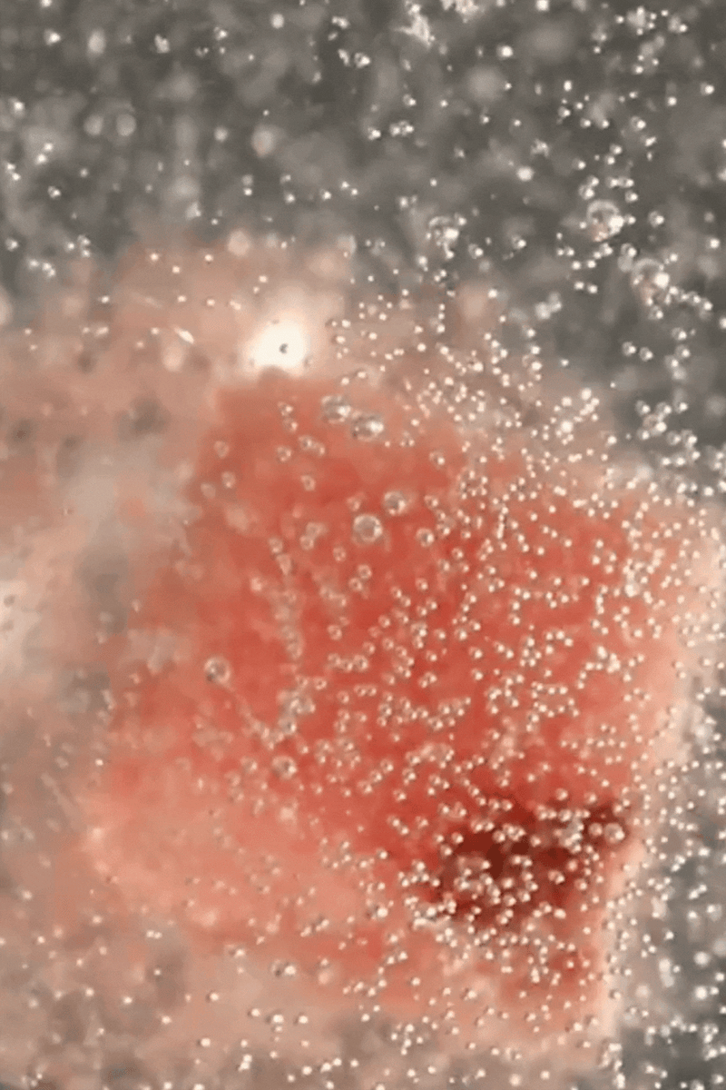 Champagne Cocktail Mixer Kit