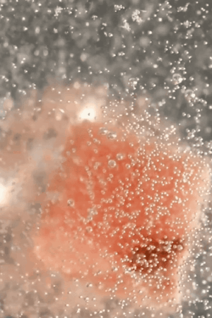 An abstract close-up of bubbles rising in a liquid, with a blurred orange shape in the background.