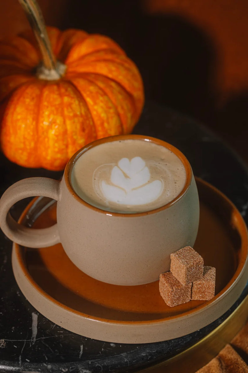 Pumpkin Spice Cafe Mixer Tallboy