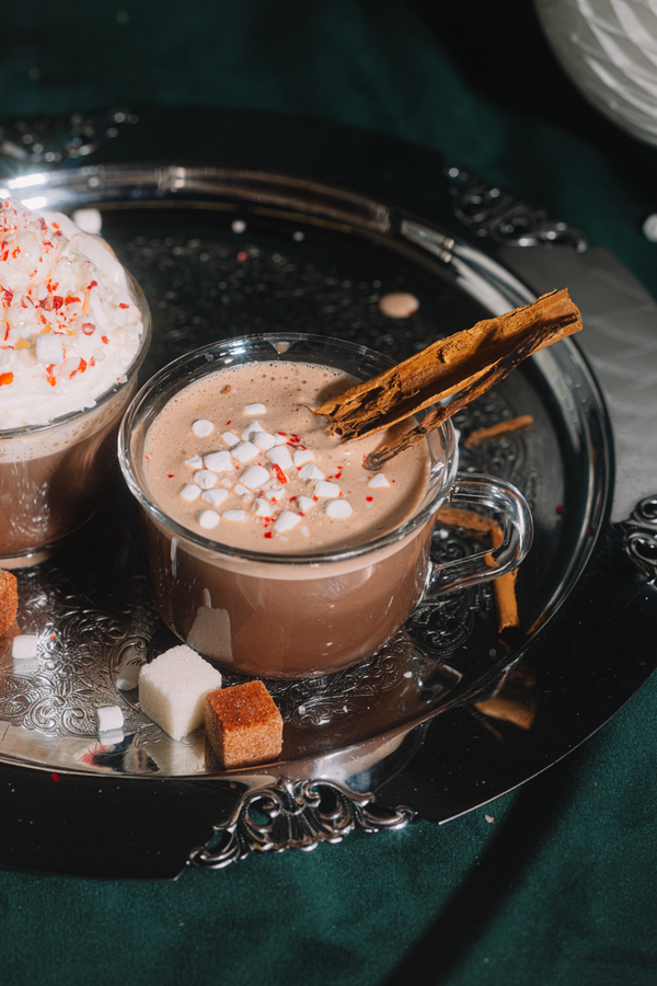 Hot Cocoa Mixer Kit