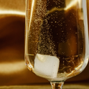 LUXE Champagne & Mimosa Sugar Cube Kits Bundle